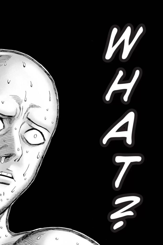 Manga OPM (10)