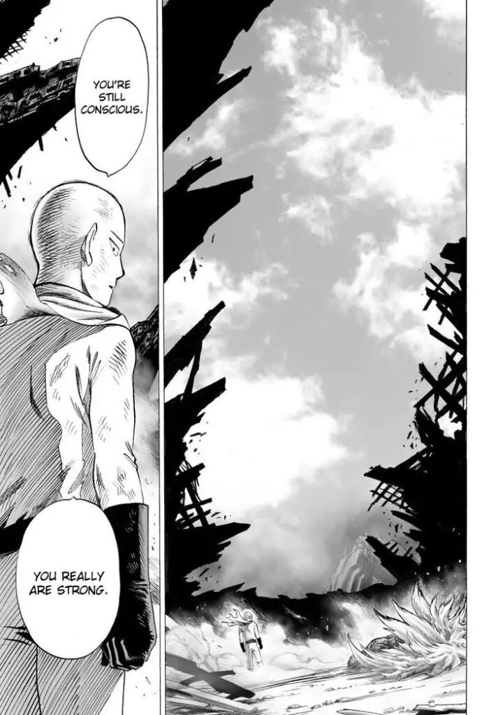 Manga punch man (49)