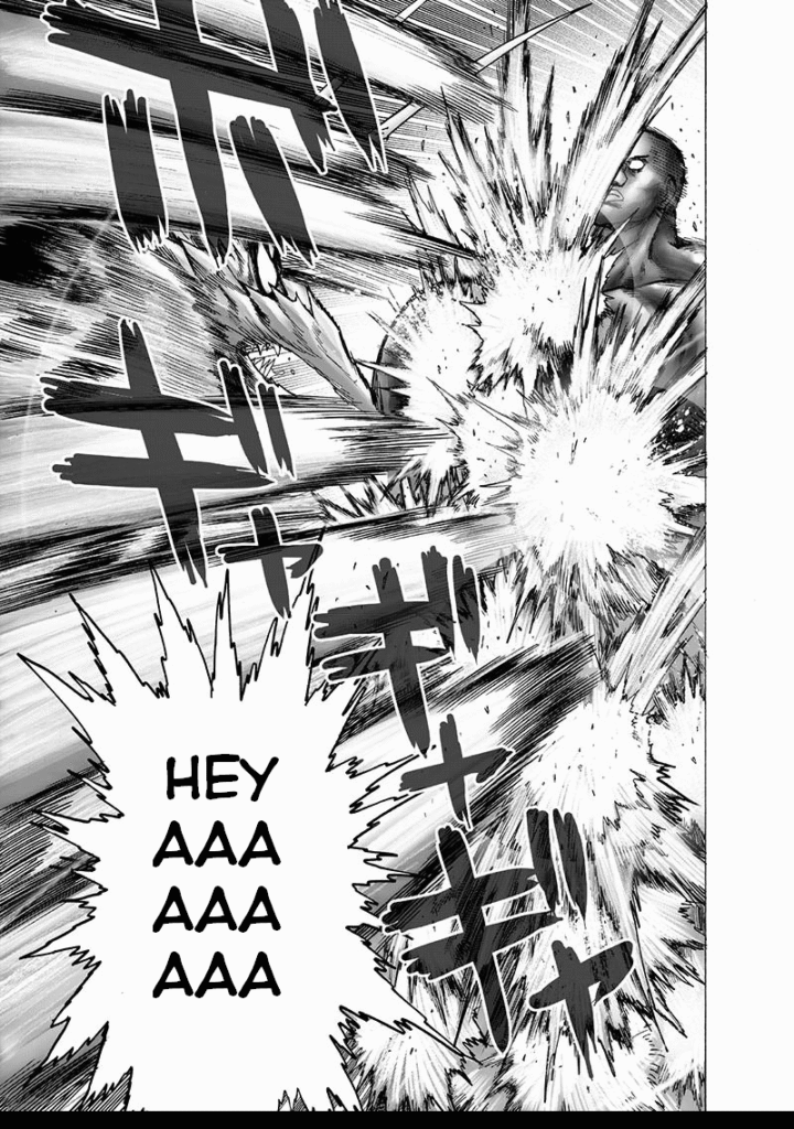 One Punch Man (14)