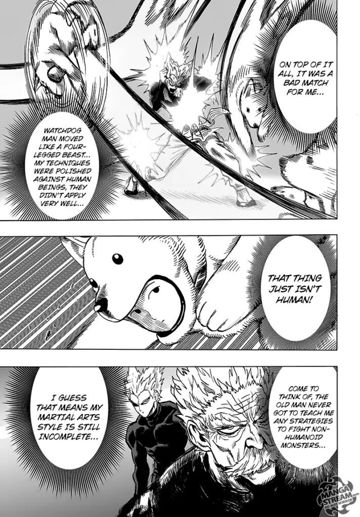 One Punch Man (22)