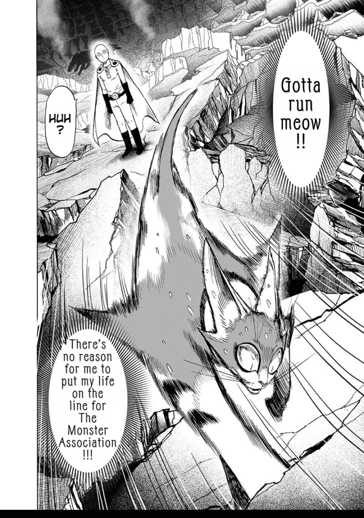 One Punch Man (30)
