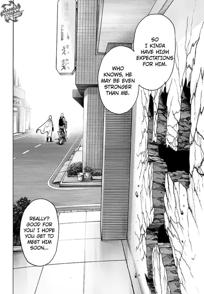 One Punch Man (32)