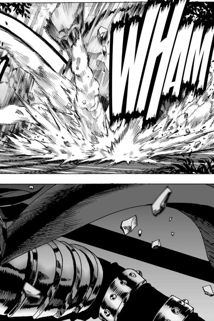 One punch man manga (14)
