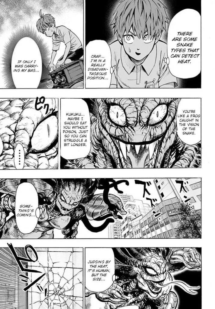 One punch man series (19)