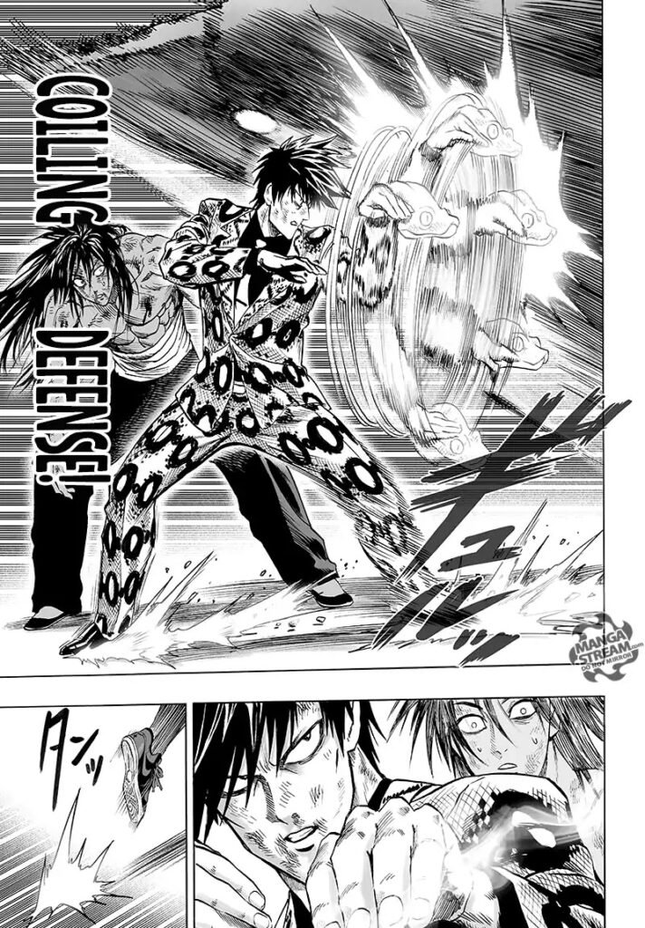 One punch man series (29)