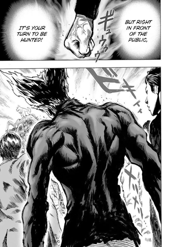 One punch man series (29)