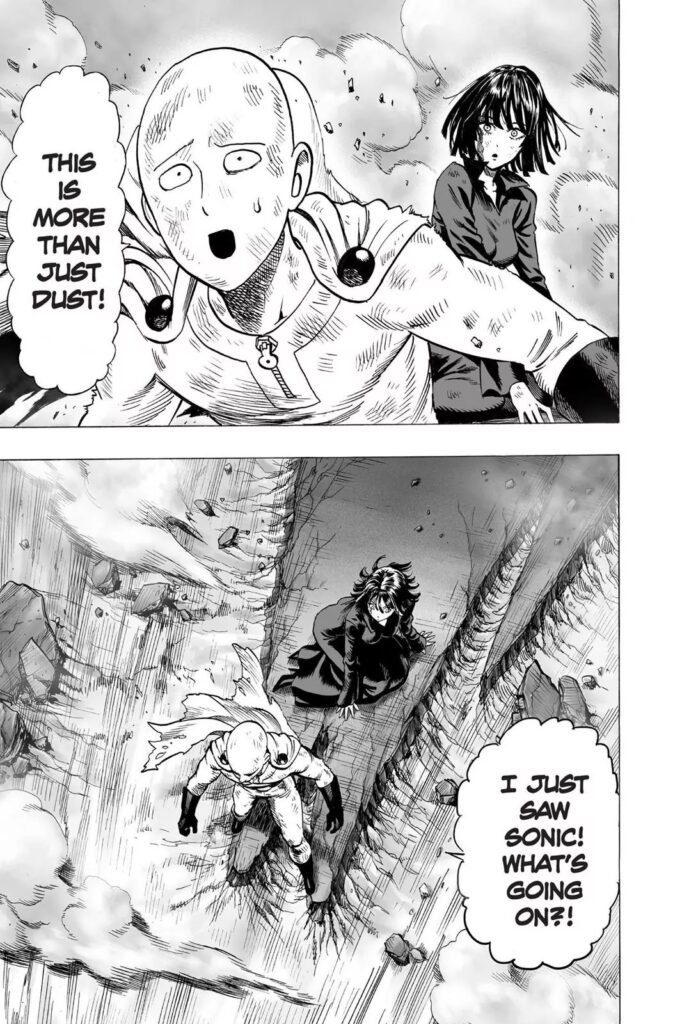 Punch man manga (21)