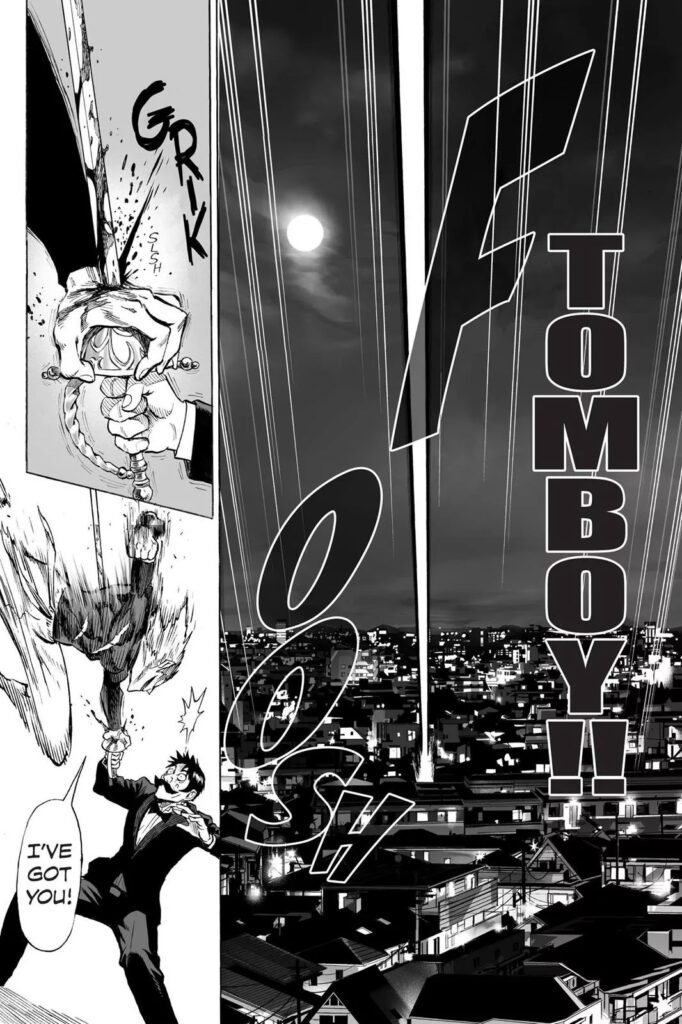 Punch man manga (21)