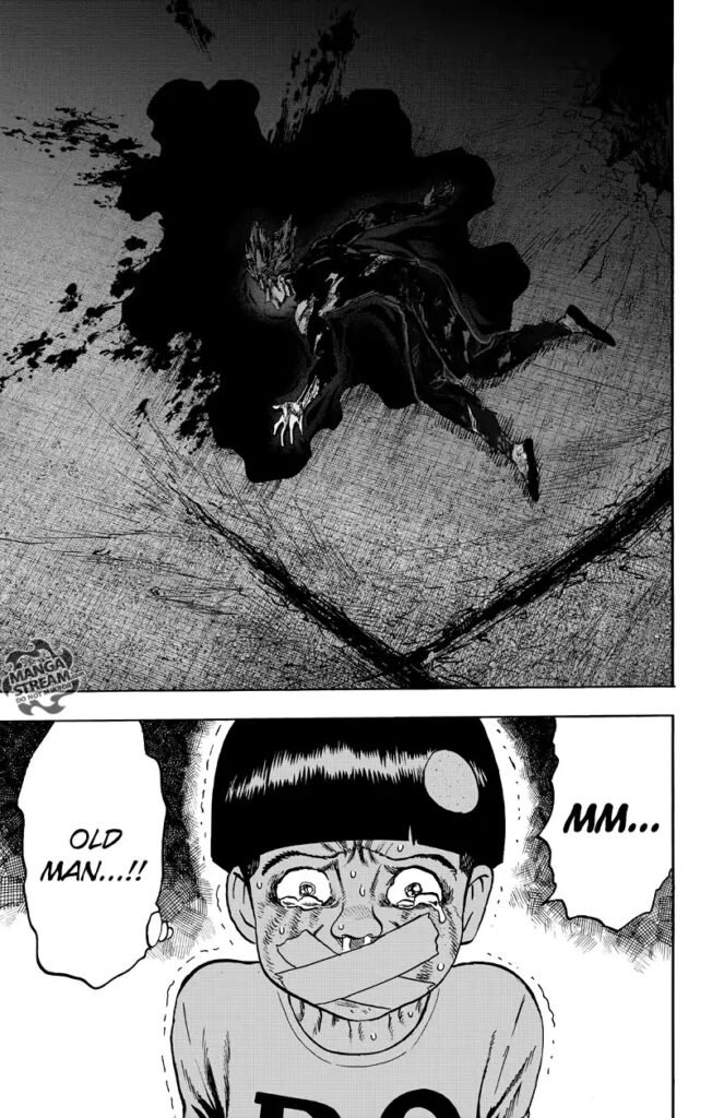 one punch man manga online (30)