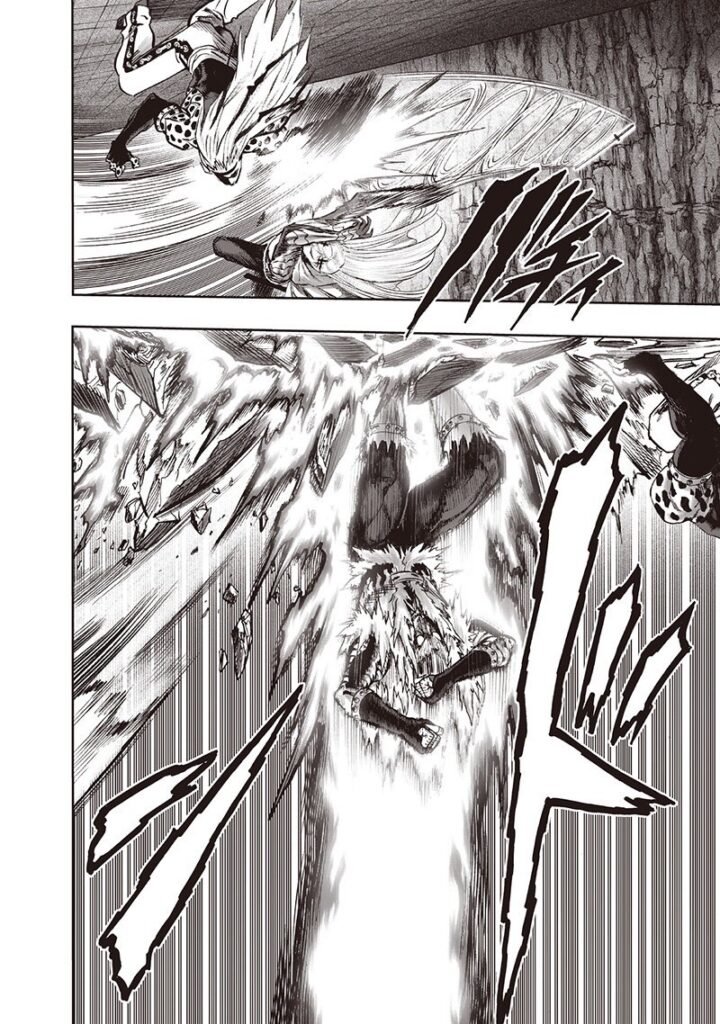 opm manga (17)