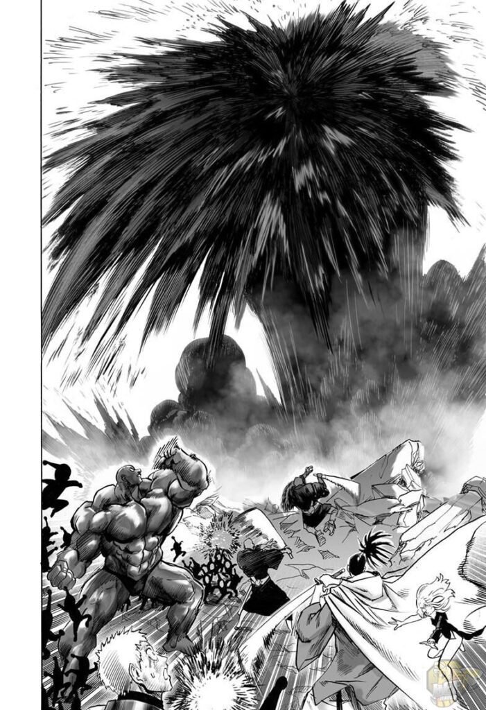 read-opm8-701x1024