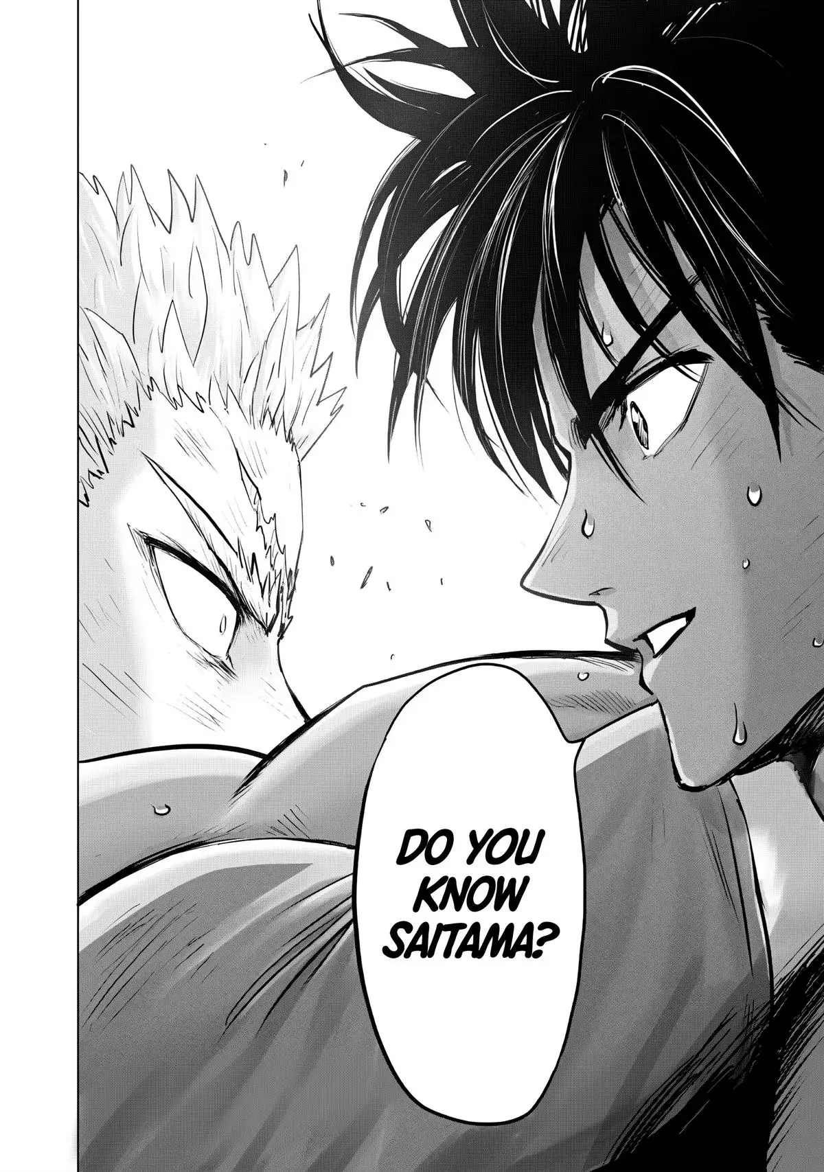 One-Punch Man, Chapter 237 image One-Punch Man_Ch237_Page021
