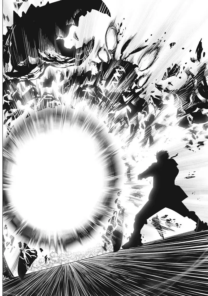 One-Punch Man, Chapter 225 image One-Punch Man_Ch225_Page014
